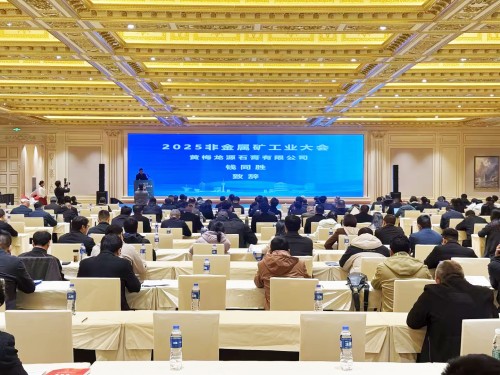 威廉希尔williamhill集团执行总裁王前出席加入2025中国非金属矿工业大会